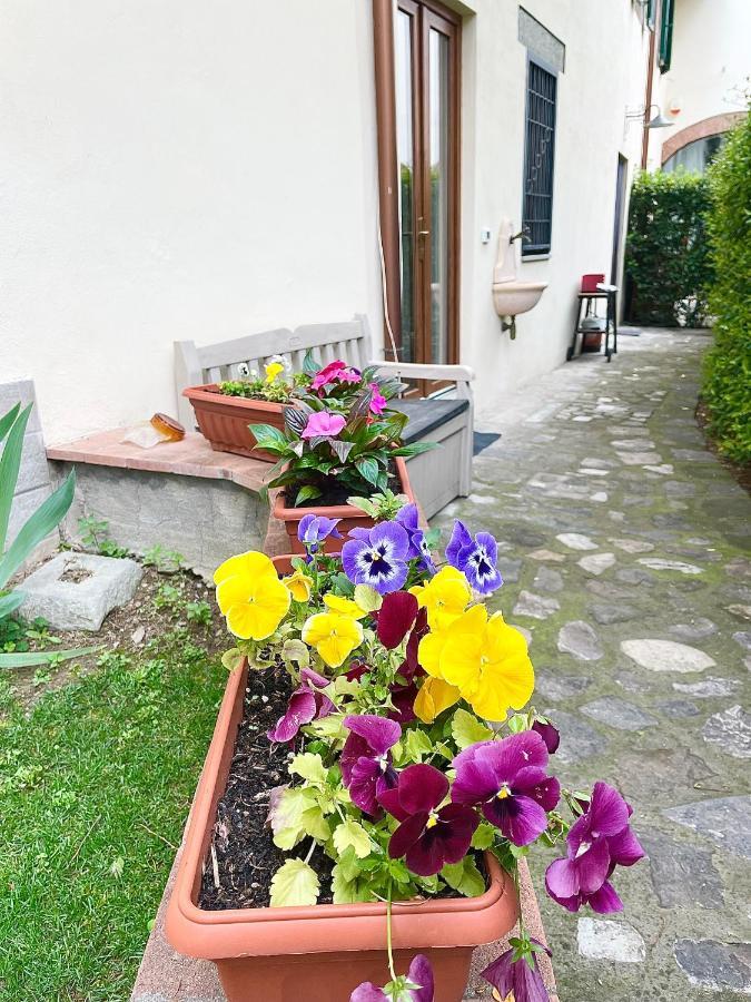 Dalu Florence Apartment Lucilla - Private Car Park 15 Minutes To The City Center エクステリア 写真