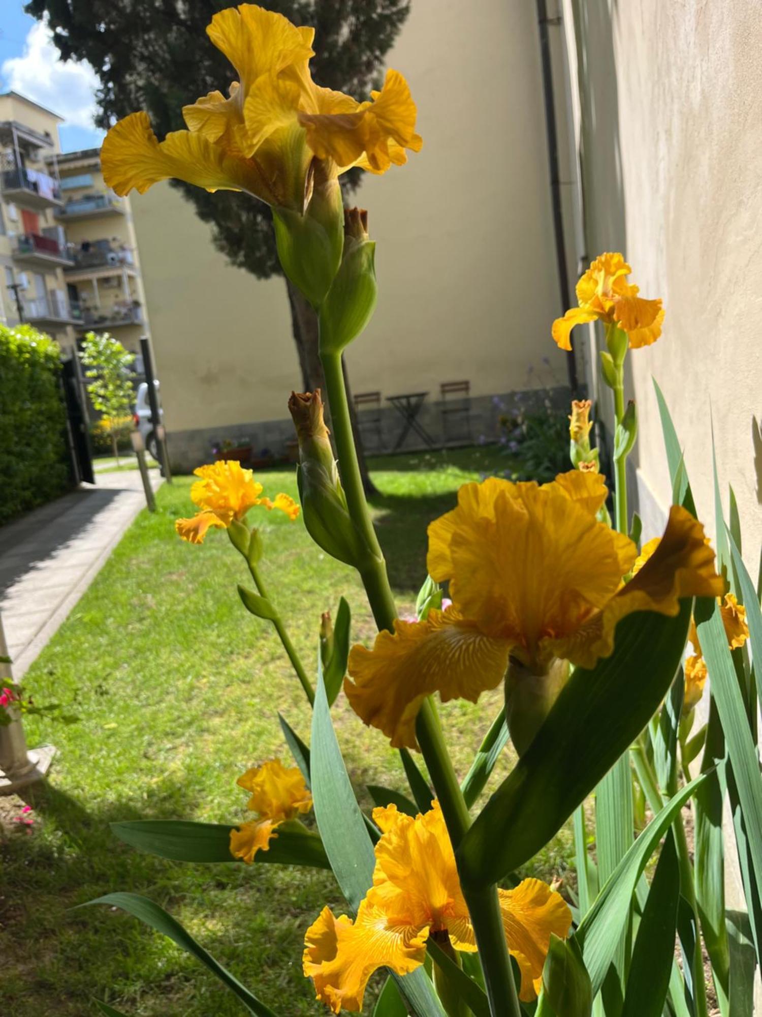 Dalu Florence Apartment Lucilla - Private Car Park 15 Minutes To The City Center エクステリア 写真